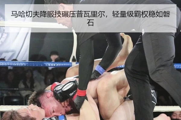 马哈切夫降服技碾压普瓦里尔，轻量级霸权稳如磐石