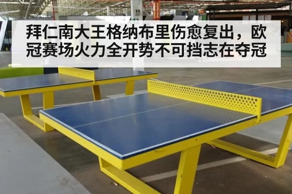 拜仁南大王格纳布里伤愈复出,欧冠赛场火力全开势不可挡志在夺冠